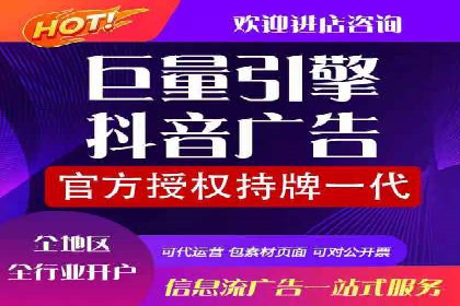 顶尖SEM竞价代运营公司案例分析